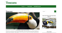 Desktop Screenshot of pettoucan.com